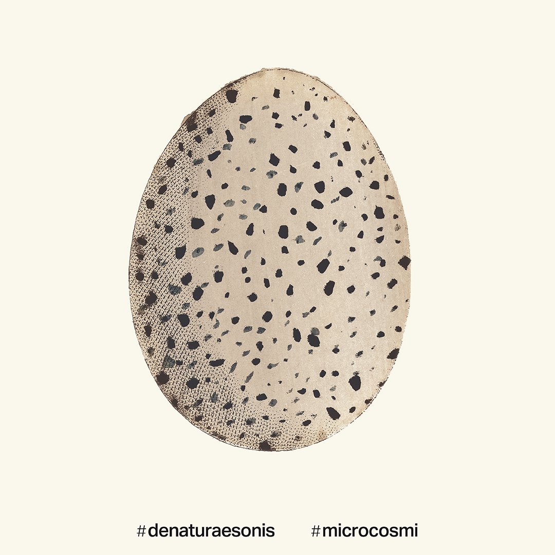Microcosmi