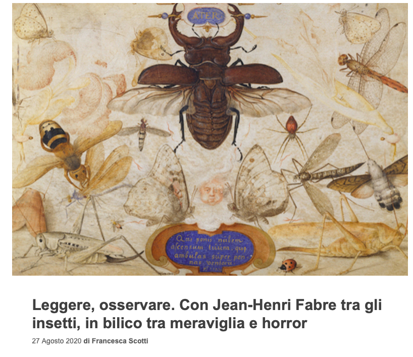 Con Jean-Henri Fabre tra gli insetti, in bilico tra meraviglia e horror_ di Francesca Scotti